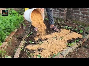 I Used This in My Garden Bed and Everything Exploded with Growth!