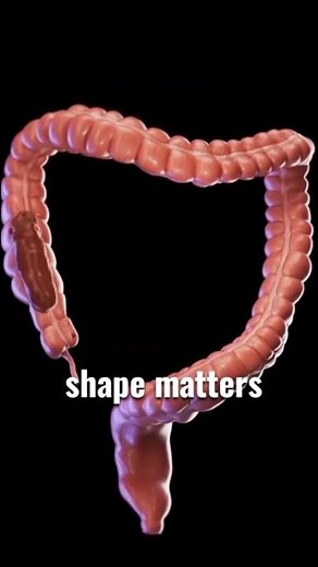 What Your Poop Says About Your Health | Gut Health Explained