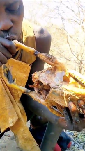 How People Survive in the African Jungle 😲#shorts #food