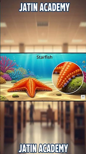 How Do Starfish Move? ⭐🐟 | Easy Science Shorts | Science for Kids | Junior Science | Fun Biology