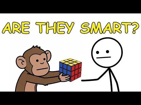 How Intelligent Are Animals Really?