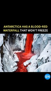 In Antarctica, there’s a strange waterfall called Blood Falls that looks like bright red blood pouring out from under the Taylor Glacier. The water stays liquid even in extreme cold because it’s super salty—about three times saltier than seawater. The red color isn’t real blood. It comes from iron hidden deep underground in the water. When this iron-filled water reaches the surface and touches oxygen in the air, it quickly rusts and turns a deep crimson shade. #fblifestyle #BloodFalls #Antarctic