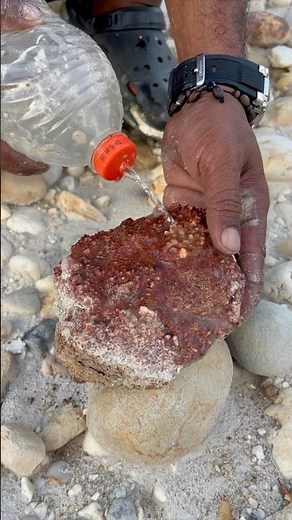 🌟 Hidden Agate Beauty Revealed! Stunning Natural Crystal Patterns Inside the Stone