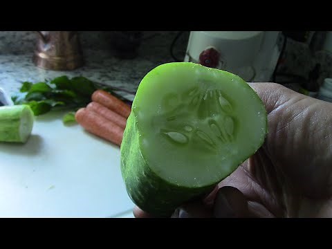 Cucumber HARVEST! | SpaceMaster (Organic)