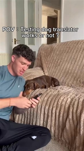 Trying the Traini app ! #add #traini #fy | dougiesdashcam