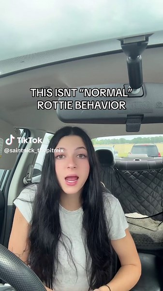 Understanding Reactive Behavior in Rottweilers