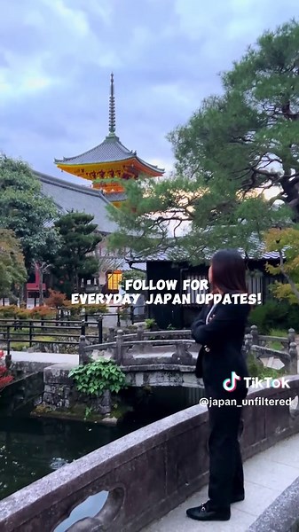 Kyoto Japan Weather Update: Enjoy Sunny 6-17 Degree Weather Tomorrow