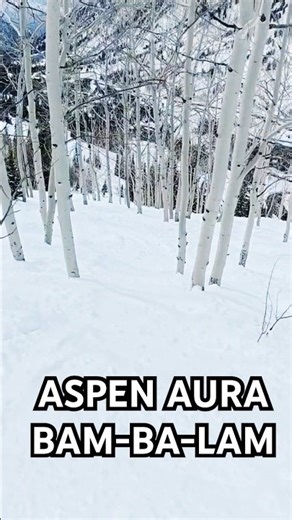 Aspen Tree BAM-BA-LAM #shorts #snowboarding