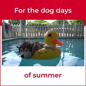 163K views · 15 reactions | What do you want when diving into your home search? | Realtor.com | Facebook