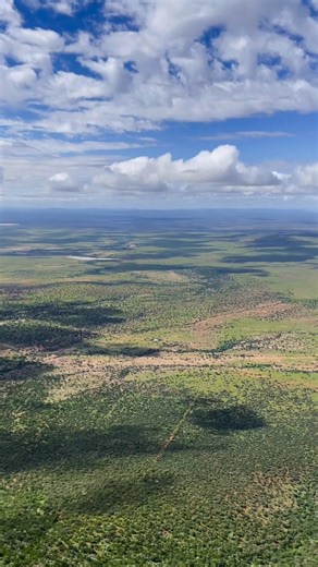 Visit Samara between Sept–Jan to see the Karoo alive with colour, newborn wildlife, and warm days best spent on safari. | Samara Karoo Reserve