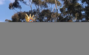 C-Vlog | Lost in San Diego