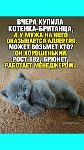 Муж или кот ? #юмор #мем #смех #приколы