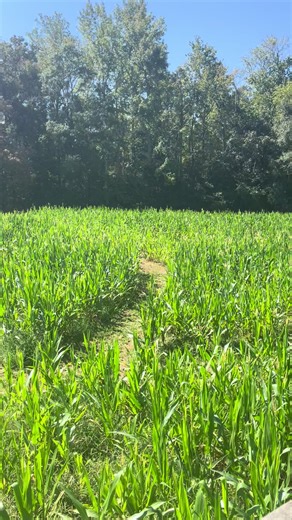 🌽 It might sound a little corny… but we’re already filling up fast for Fall Cleaning! 🍂✨ Whether it’s carpets, upholstery, or tile, Jet Stream Clean is here to make your home look a-maize-ing this season. 😉 📅 Book your appointment today before the calendar gets picked clean!#creatorsearchinsights #CarpetCleaning #TileCleaning