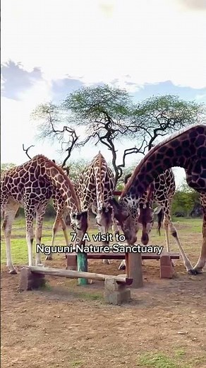 Top 15 Things to Do in Kenya