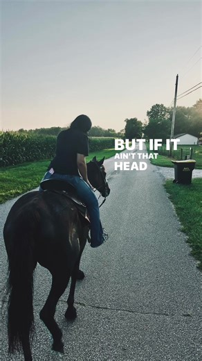 Mastering Barrel Racing Techniques for Rodeo Success