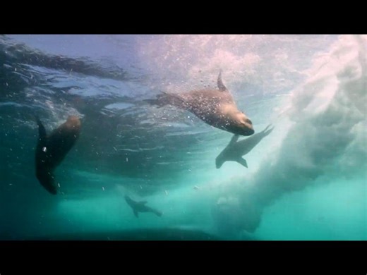 How to Save Our Planet  - Part 1 &2