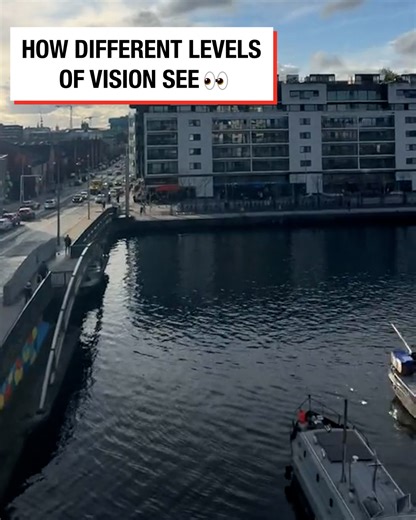 How different levels of vision see... 👁👓 | LADbible