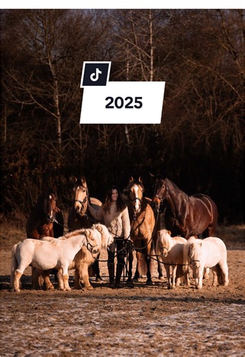 2025: Ein Jahr voller Highlights und neuer Chancen