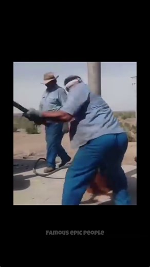 Wholesome Fails: When a Normal Moment Suddenly Turns Hilarious 😂⚡