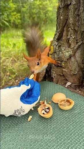 Survival skills of a beautiful woman in the forest! 😯 #hack #diy #camping