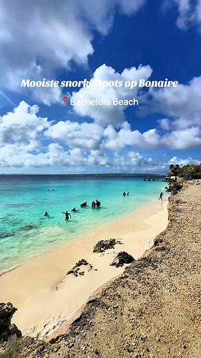 Top Snorkeling Spots in Bonaire for Your Next Trip