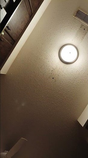 think fast chuckle nuts