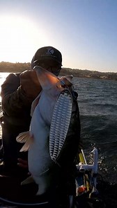 10lb Bass on Magnum Flutterspoon #kayakcity #flutterspoon | Damian Thao