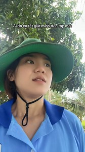 Tr oi tr | Cẩm Và Én