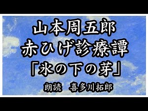 山本周五郎｢赤ひげ診療譚」氷の下の芽 物語は、江戸時代の養生所で働く若き医師、登と、おえいの出会いを軸に展開します 声優ナレーターの喜多川拓郎が朗読します。 ちょっと一休み、心の休息に癒やしの朗読を