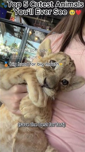 These Are the Cutest Animals Ever! 🥹🐾