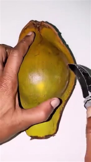 Ting Ting and Bilqis Concert Featuring BLACKPINK - Day 1 in Jakarta