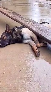 724K views · 10K reactions | Kids Baby Cartoon on Reels | Facebook