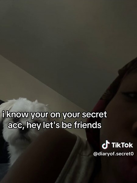 Connect with Friends on Secret Accounts