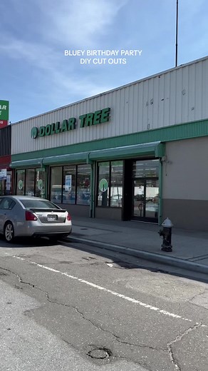 DIY Bluey Birthday Party Decorations & Ideas