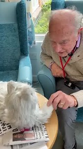 51K views · 268 reactions | Bring Joy and Companionship to a loved one this Christmas. Our robotic pets help to reduce stress and anxiety for people living with Dementia, provide companionship to anyone who may be alone, and enhance the lives of people who may not be able to have a real pet of their own. www.robopets.co.uk | RoboPets | Facebook