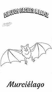 Cómo Dibujar un Murciélago Paso a Paso 🦇✏️ | Dibujos Fáciles a Lápiz