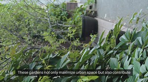 Rooftop Vegetable Garden Design