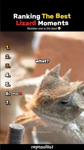 Ranking The Best Lizard Moments