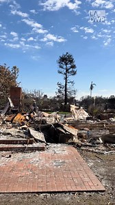 LADWP is here for the Palisades community! With the opening of the Unified Utilities Rebuild Operations Center (UUROC) at the Pacific Palisades Recreation Center, we are ready to assist customers with various needs including starting and stopping services, reviewing accounts, and providing information about electric service repair. Visit 851 Alma Real Dr. daily from 8am to 4pm. #PalisadesFire #LADWP #LAFire #LosAngeles | Los Angeles Department of Water & Power