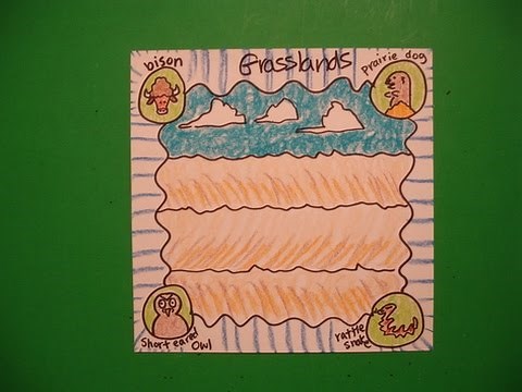 Let's Draw an Animal Habitat-Grasslands