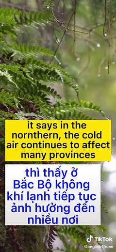 Topic: the weather- part 2#learnenglish#hoctienganh#learnandsharee#learnontiktok#xuhuong#fyp