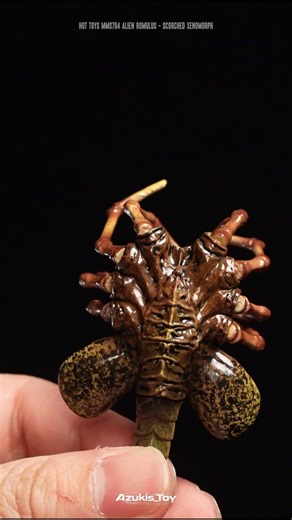 Only $240, will you take it back ? Hot Toys MMS784 Alien Romulus Scorched Xenomorph #alien #romulus