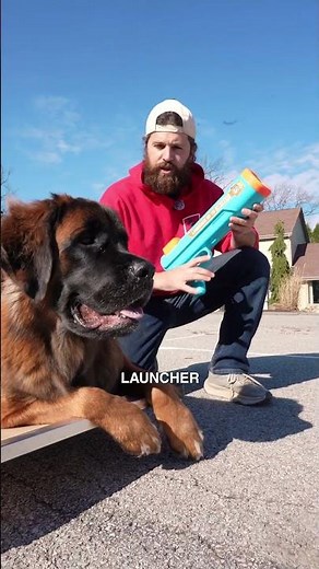Practice Impulse Control With Toys!