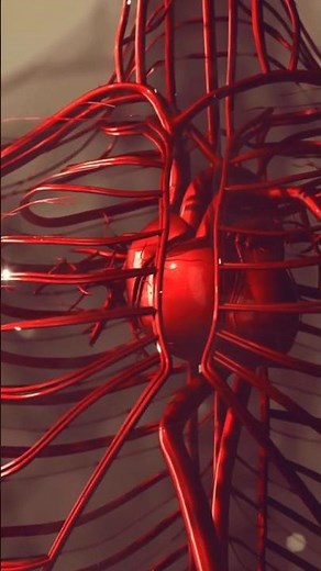 Olive Oil Benefits: 7 Reasons to Use It Every Day