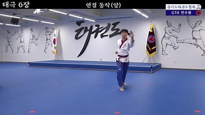 Poomsae 6 - Taeguk Yuk Chang #taekwondo #poomsae #peru | Nikol Supo Taekwondo
