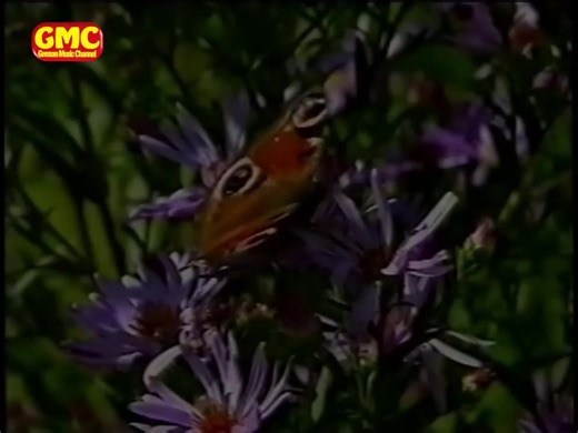 🇩🇪🇦🇹🇨🇭🌹Fischer Chöre - La Pastorella 1997 | Die Beste Musik aus Deutschland, Österreich und der Schweiz