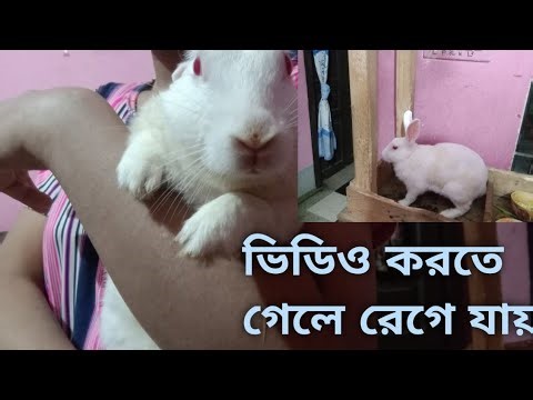 He gets angry when he has to make a video.