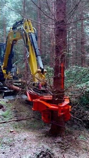 Tree cutting machine vehicle for fast and efficient logging