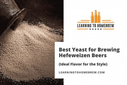 Best Yeast for Brewing Hefeweizen Beers (Ideal Flavor for the Style)