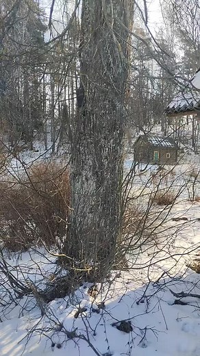 Gvido Ķepītis on Reels